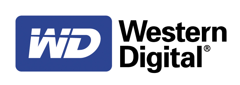 Gigantyczna kara dla Western Digital